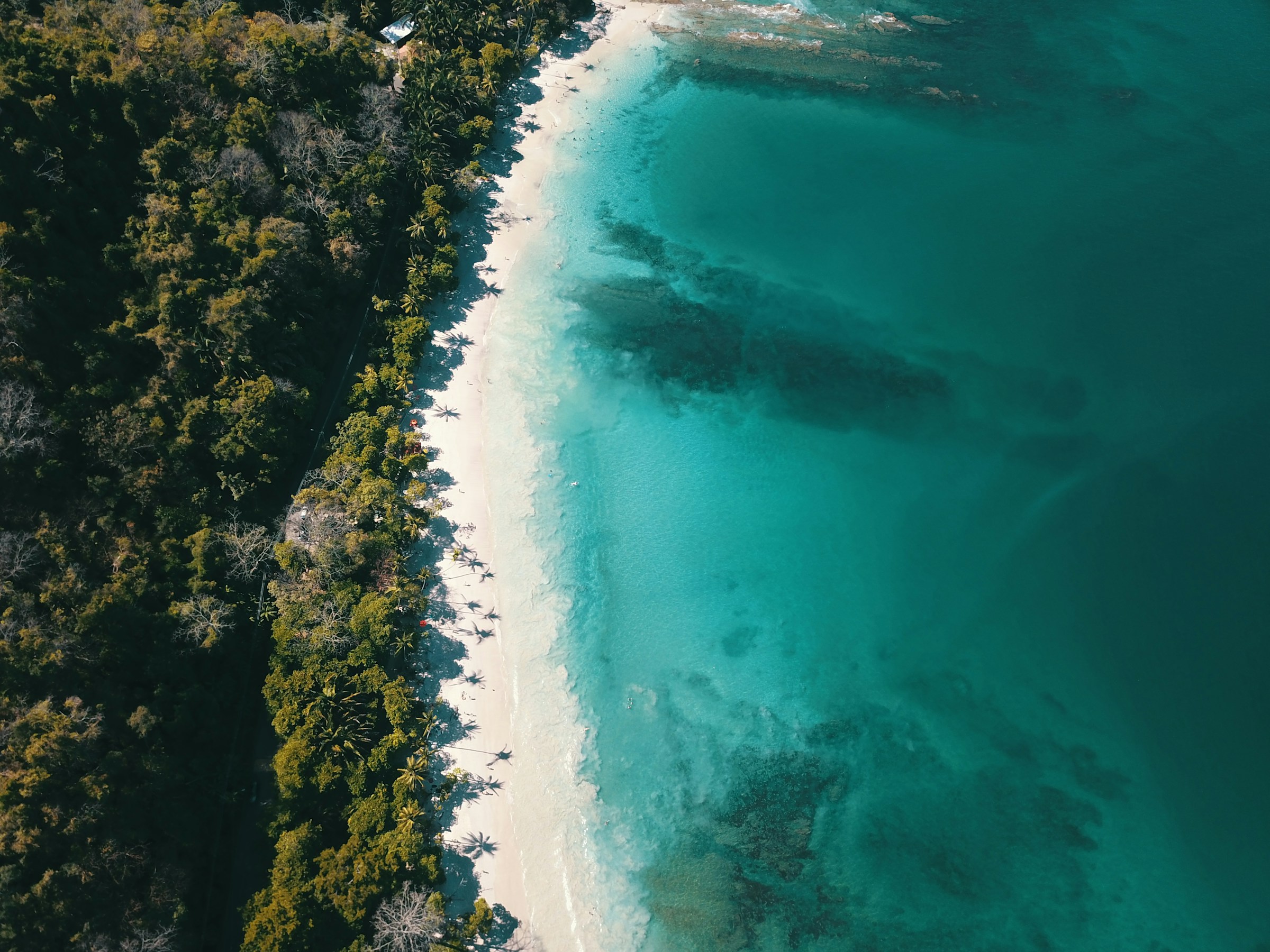 Aerial view of a Costa Rica beach, jungle meeting turquoise sea